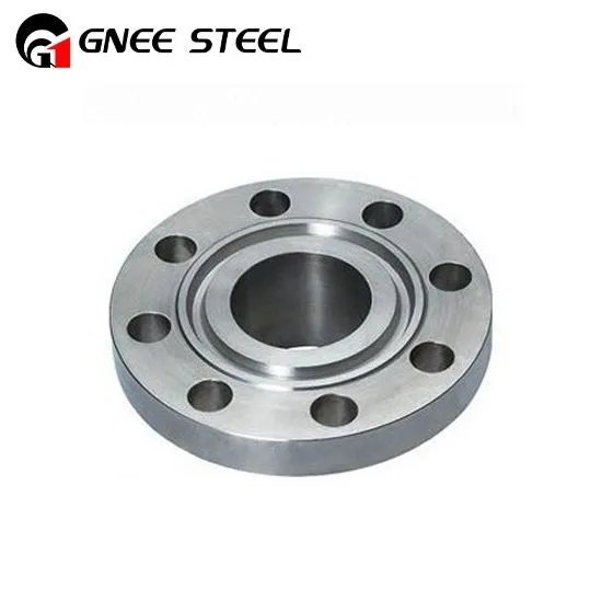 Duplex stalen ringtype verbindingsflenzen