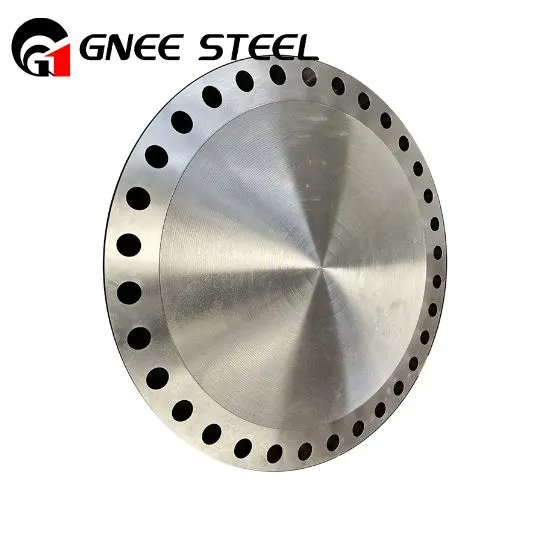 Hastelloy blinde flenzen